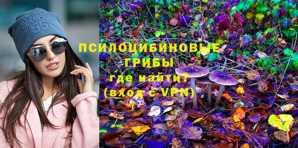 jwh Белокуриха