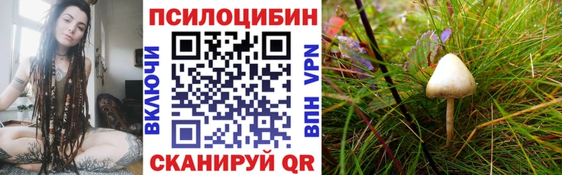 Псилоцибиновые грибы Magic Shrooms  KRAKEN онион  Билибино 